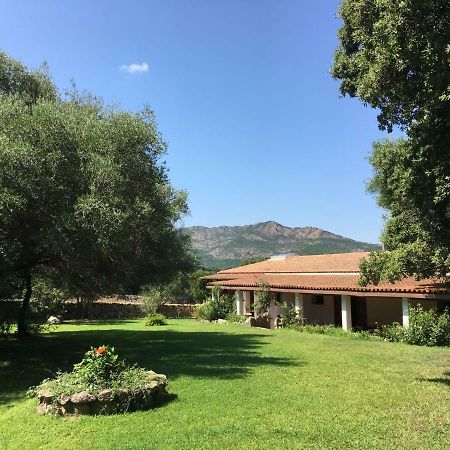 Agriturismo Su Pirastru Villa Sa Castanza Luaran gambar