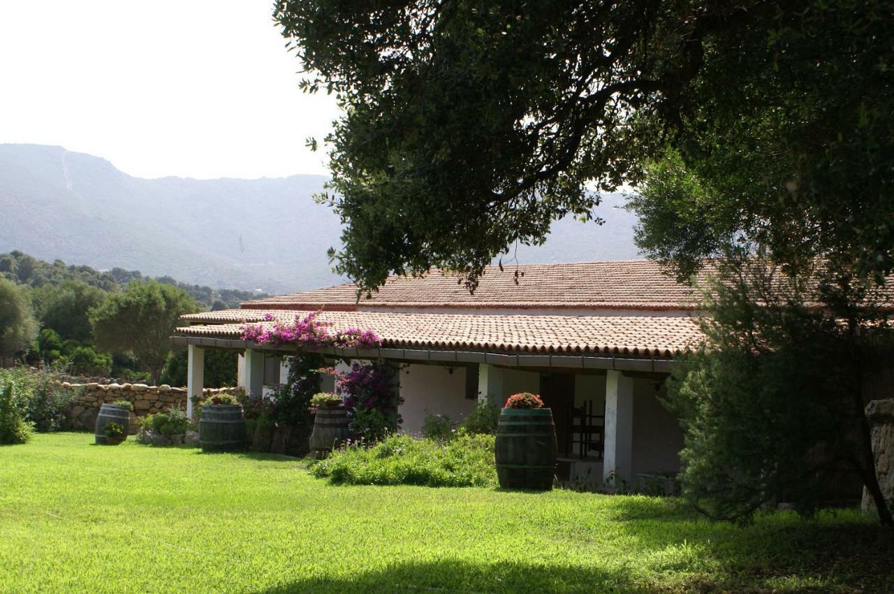 Agriturismo Su Pirastru Villa Sa Castanza Luaran gambar