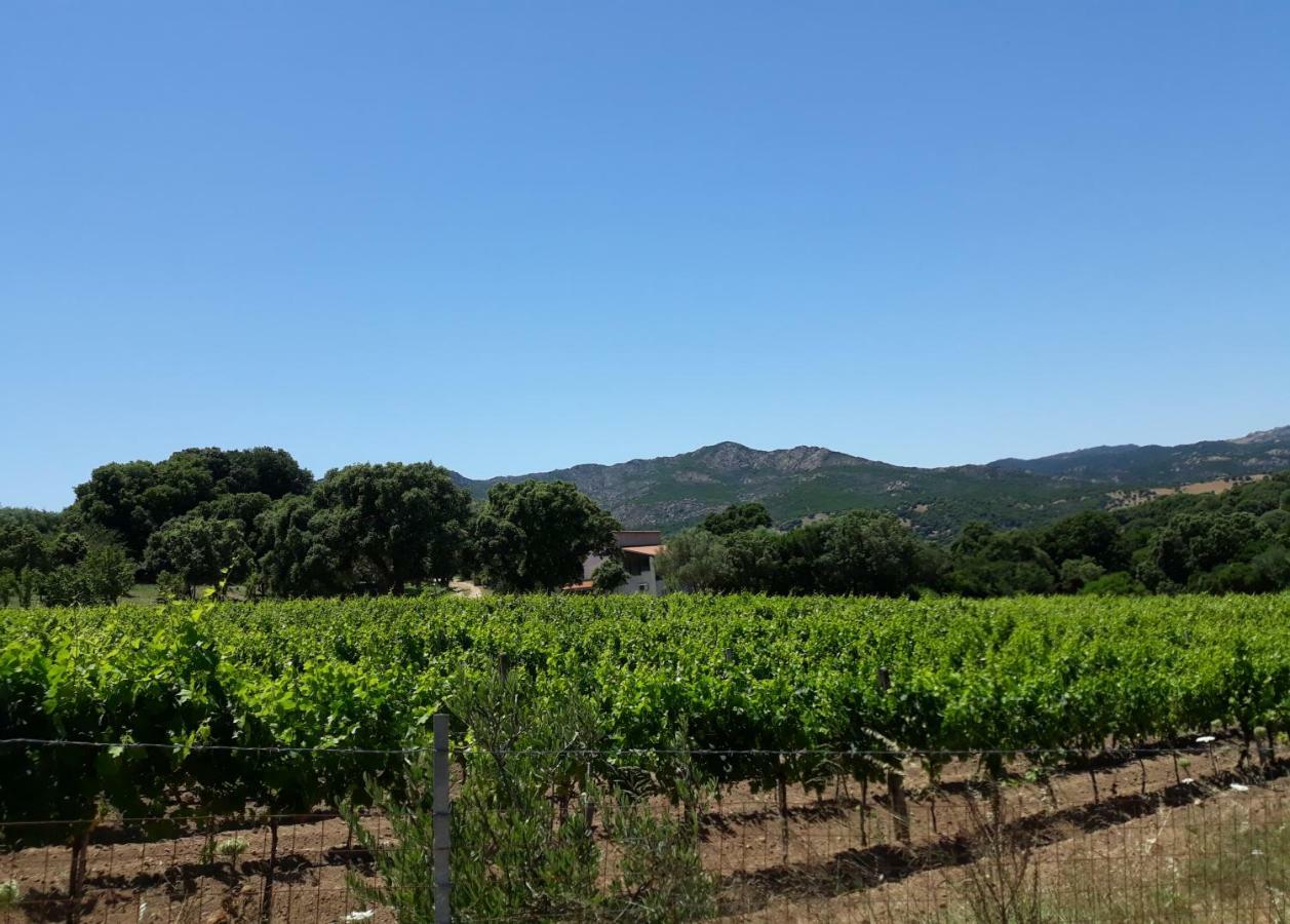 Agriturismo Su Pirastru Villa Sa Castanza Luaran gambar